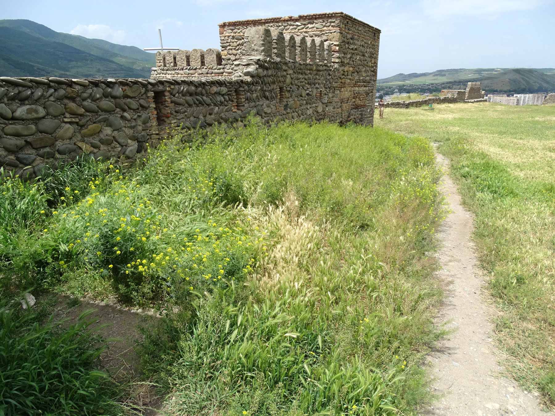 Gori